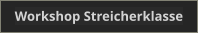 Workshop Streicherklasse