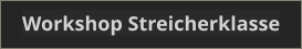 Workshop Streicherklasse